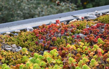 the cost of Duck Corner green roof installation