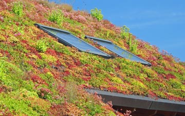 Duck Corner living roof systems