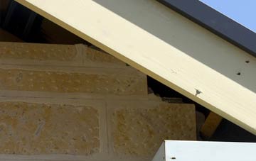 soffit repair Duck Corner